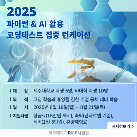 2025 파이썬&AI 활용 코딩테스트 집중 런케이션 참가자 모집